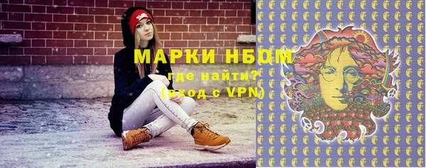 хмурый Алексин