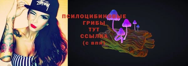 хмурый Алексин