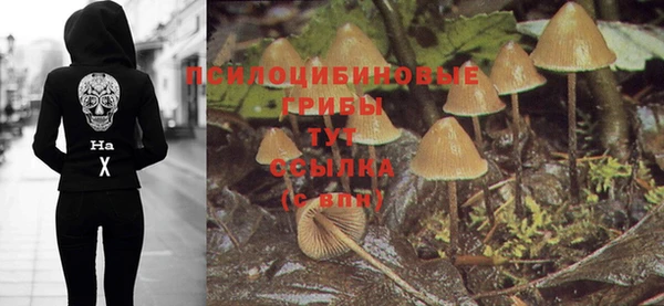 ПСИЛОЦИБИНОВЫЕ ГРИБЫ Алзамай