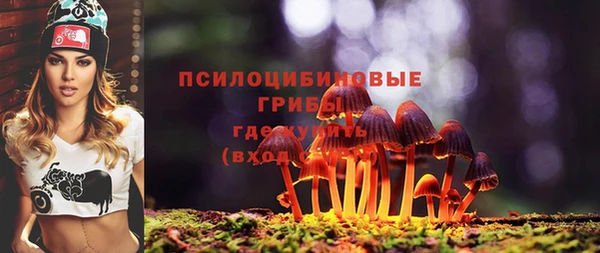 амф Абаза