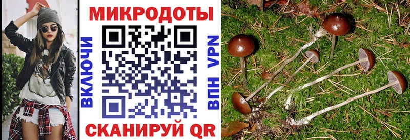 МЕГА зеркало  купить наркоту  Северская  Псилоцибиновые грибы MAGIC MUSHROOMS 