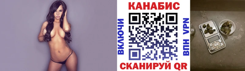 Шишки марихуана конопля Северская